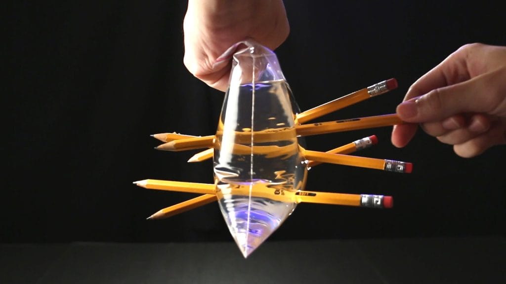 A bag of water is pierced by five pencils but it doesn't leak