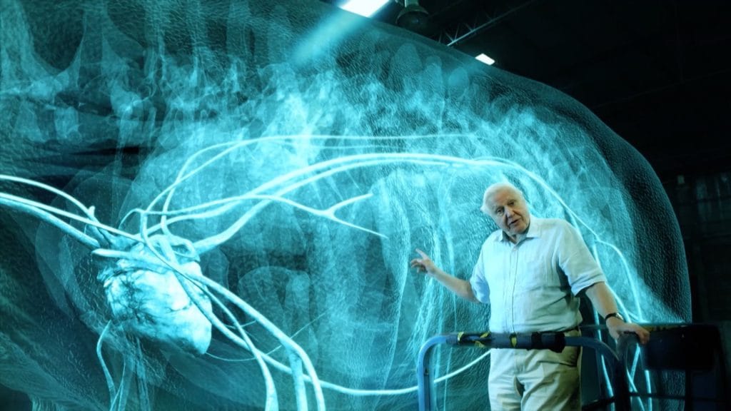 David Attenborough stands in front of a Titanosaur illustration