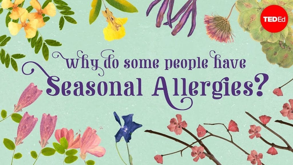 A TEDEd talk about seasonal allergies and why they affect some people