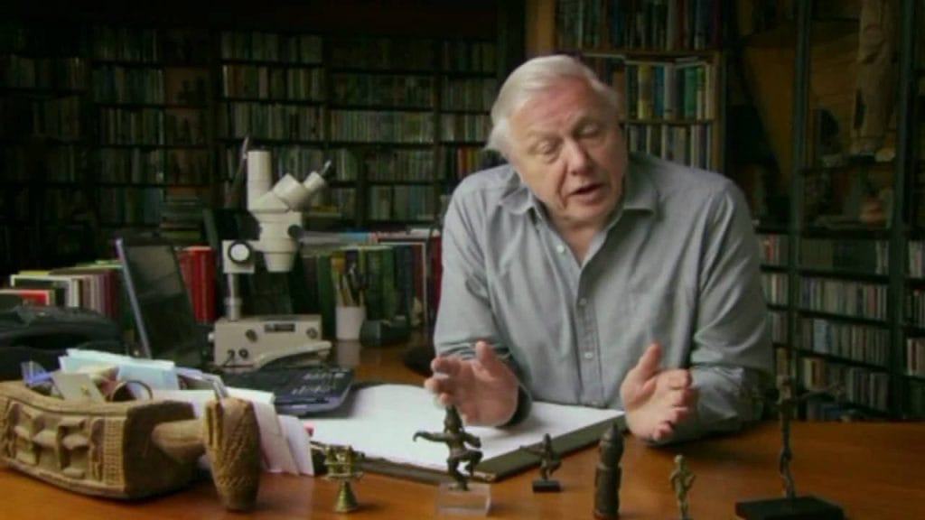 David Attenborough in a library explaining the tree of life