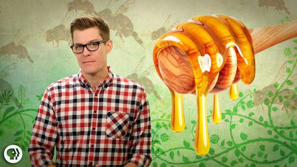 How do bees make honey?
