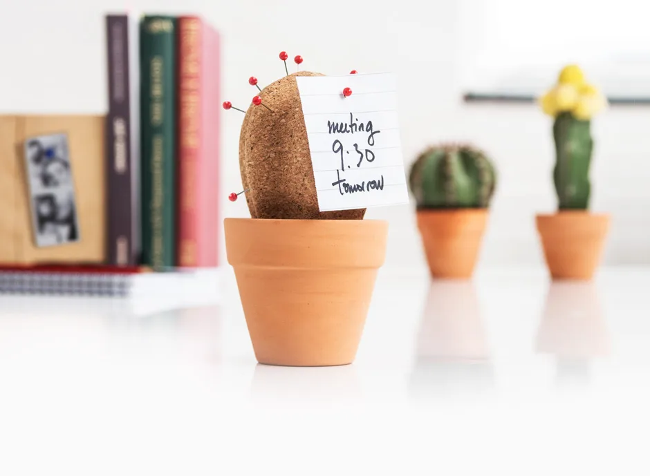 Organise your desk with a prickly cork cactus