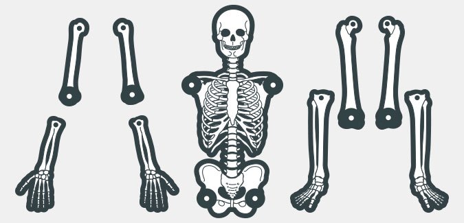 Skeleton Template 10