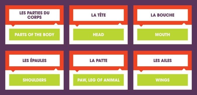 Learn French: Parts of the Body