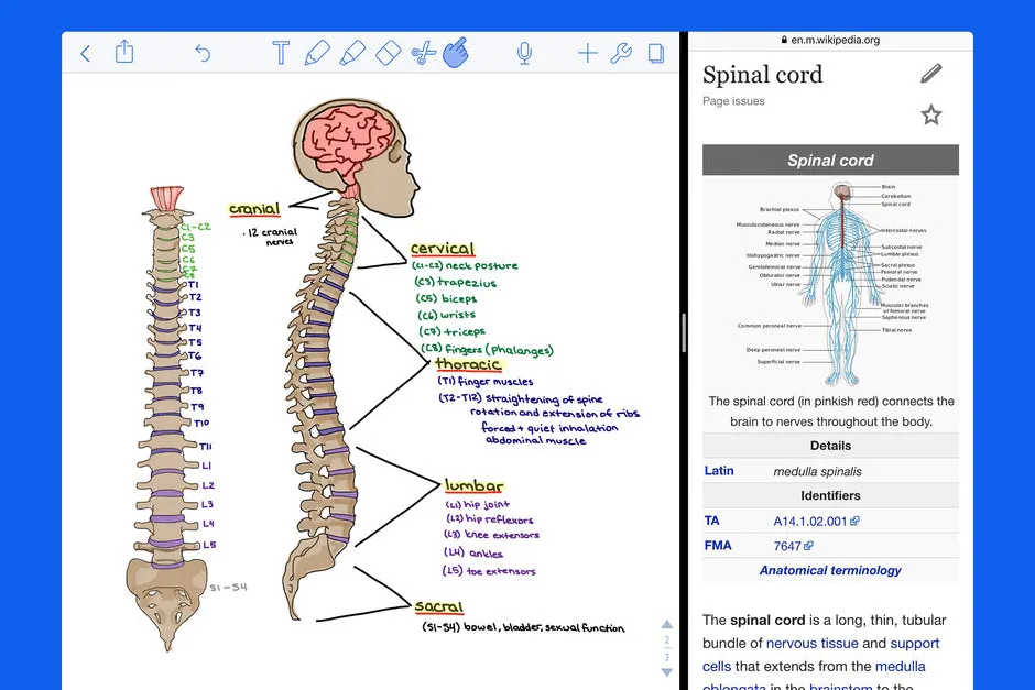 Notability: A powerful app for text, sketch and audio notes