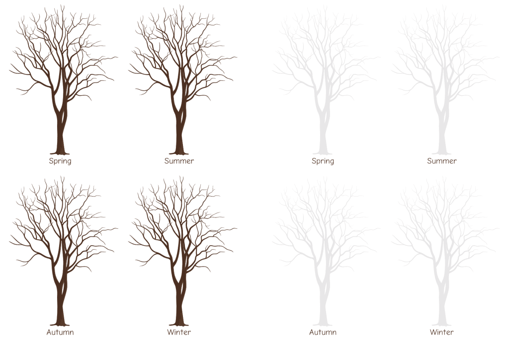 realistic tree template for drawing the four seasons: spring summer autumn winter